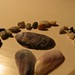 Joe Shell Photo 24