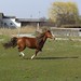 Sylvia Buck Photo 8