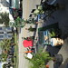 Deborah Schafer Photo 18