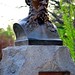 Clay Mclaughlin Photo 10