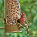 Janice Finch Photo 13