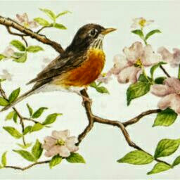 Robyn Bird Photo 29