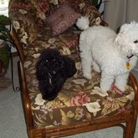 Nancy Loyd Photo 32