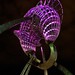Phillip Martin Photo 31