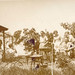 Ruth Kissinger Photo 9
