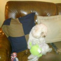 Eleanor Doss Photo 2
