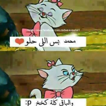 Sara Mostafa Photo 11