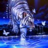 Elizabeth Kluth Photo 7