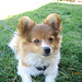 Theodore Short Photo 10