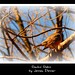 Robin Busse Photo 5