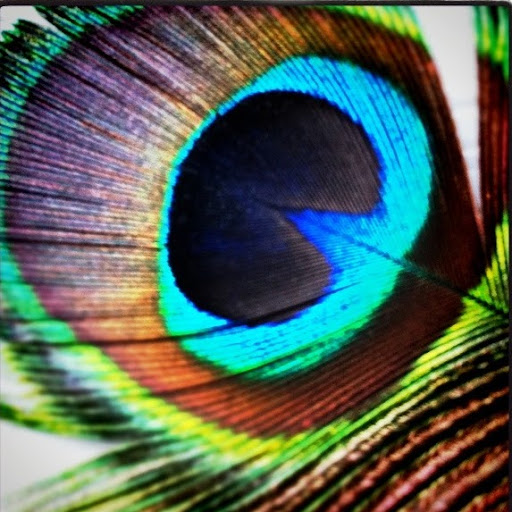 Kathy Peacock Photo 14