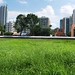 Shan Zhong Photo 11