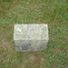 Sally Beebe Photo 5