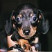 Jimmy Dean Photo 2