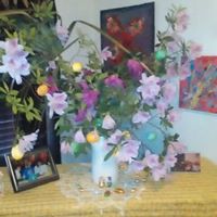 Bruce Lange Photo 24