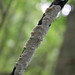 Gary Nehring Photo 3