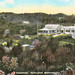Cathy Mason Photo 9