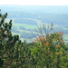 Landis Hudson Photo 7