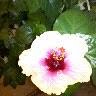 Debra Browning Photo 12