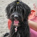 Juanita Alt Photo 4