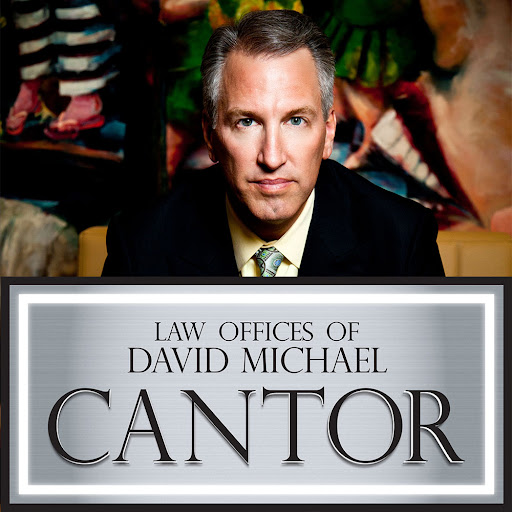 David Cantor Photo 28