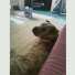 Deloris Anderson Photo 8