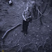 Shelley Holden Photo 12