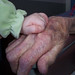 Brenda Anderson Photo 22