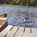 Jennifer Pond Photo 20