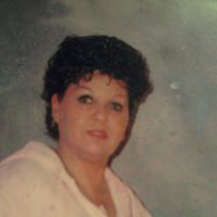 Dianne Collins Photo 12