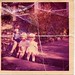 Kathy Robins Photo 17