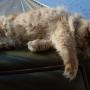 Debbie Calvert Photo 23
