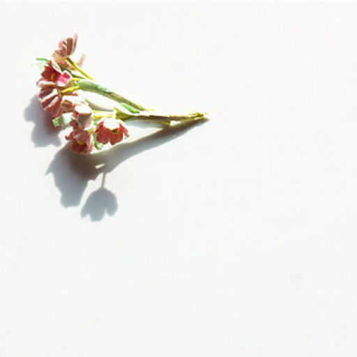 Tam Dang Photo 42