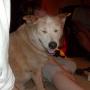 Cheryl Gunter Photo 22