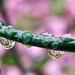 Jennie Stephens Photo 10