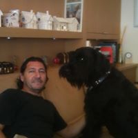 Daniel Bustos Photo 22