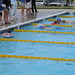Wendy Carroll Photo 14
