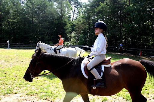Rachel Cagle Photo 28