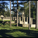 David Olmsted Photo 22