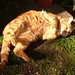 Eddie Power Photo 11