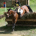 Melanie Wilder Photo 13