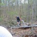 Stacy Evans Photo 28
