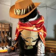 Rex King Photo 12