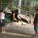 Louie Short Photo 9