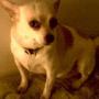 Crystal Mize Photo 18