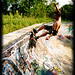 Justin Pool Photo 16