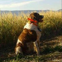 Melissa Hendricks Photo 10