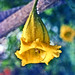 Deborah Vines Photo 15