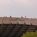 Suzanne Tasker Photo 4