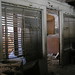 Paul Kamper Photo 8